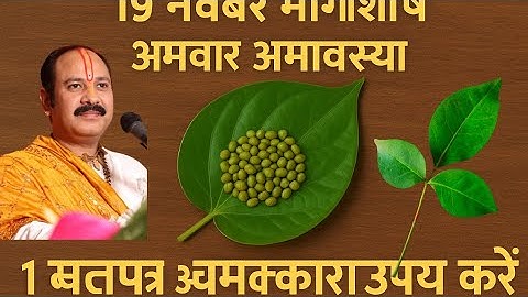 19 नवंबर मार्गशीर्ष बुधवार अमावस्या बेलपत्र और हरे मूंग वाला चमत्कारी उपाय करें | Pradeep Mishra Ji 
