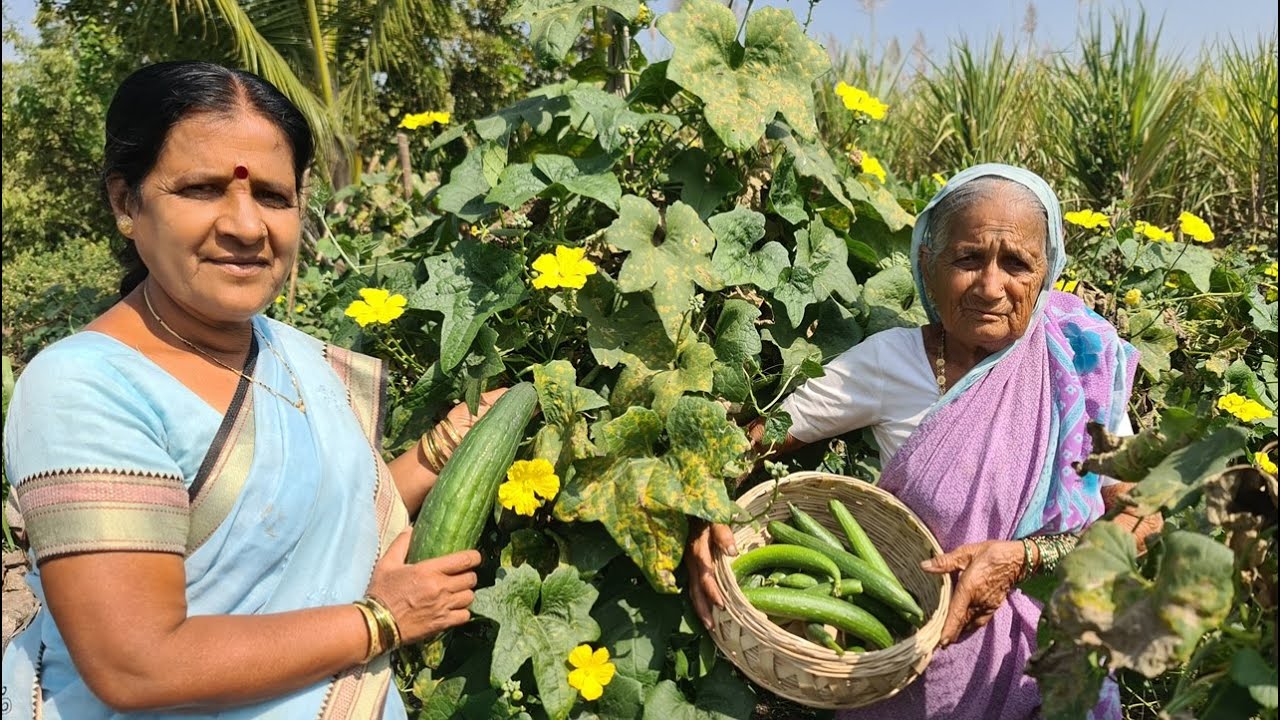 फक्त याच महिन्यात चवीला लागणारी  मिरची कांदा भजी पेक्ष्या भारी गरमागरम चटपटीत घोसावळ्याची भजी