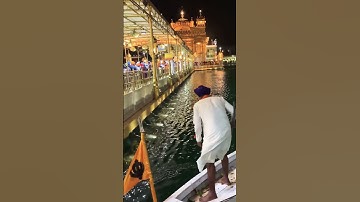 If you have 10 secs then write Waheguru Ji  #waheguru #gurbani #viral #wmk #punjabi #trending #sikh