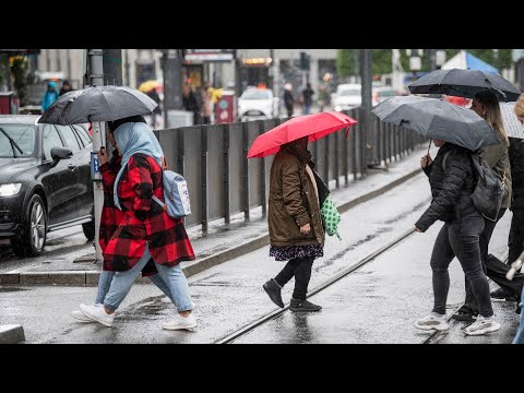 Video: Vädret i Goa. Väder efter månader