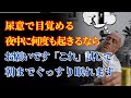 【65代以上必見】85歳現役医師が明かす！夜中に何度も起きる方の簡単な改善法