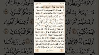 سورة الطور كاملة - القارئ محمد اللحيدان - القرآن الكريم