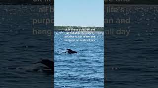 How do I monetize this passion #oceanlife #fakebody #adult