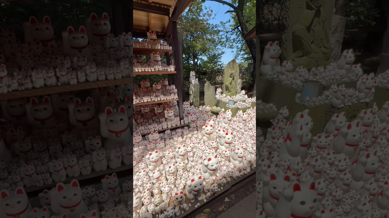 1,000+ Lucky Cats at Gotokuji Temple! 🙀 #tokyo #japan 豪徳寺と