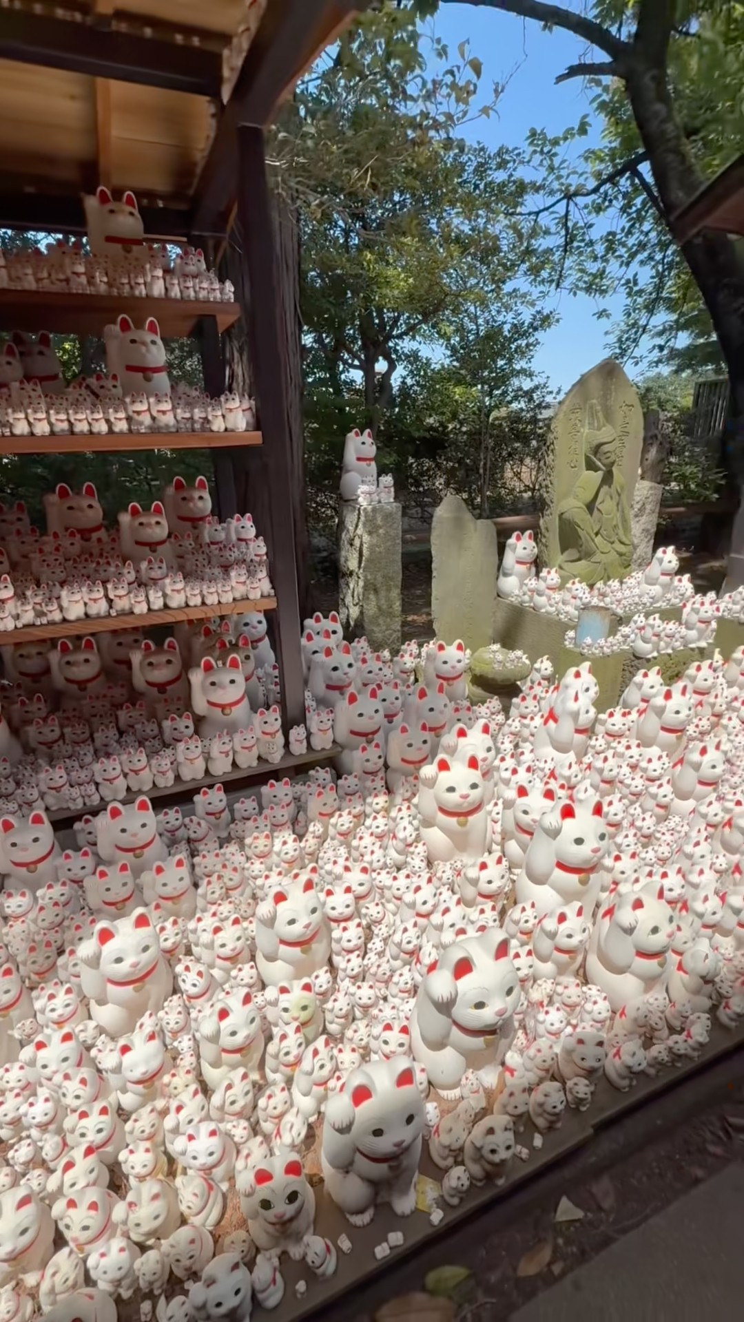 1,000+ Lucky Cats at Gotokuji Temple! 🙀 #tokyo #japan 豪徳寺と