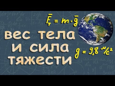 СИЛА ТЯЖЕСТИ масса ВЕС ТЕЛА 7 класс физика Перышкин
