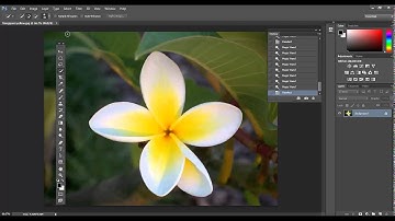 FREE Photoshop video tutorial - How do I use the Quick Selection tool in Adobe Photoshop?