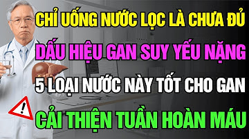 5 Loại Nước Uống Tốt Cho Người Cao Tuổi – Giúp Thanh Lọc Gan, Ổn Định Huyết Áp