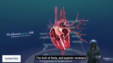 Virtual Reality - Human Anatomy - Education