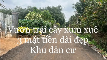 Buộc phải bán 1 hetta 3 mặt tiền phũ Hồng giá rẻ xã xà bang Huyện châu Đức tỉnh bà rịa Vũng tàu