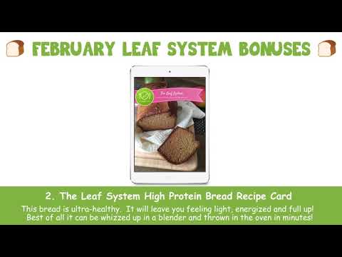 the-leaf-system-february-2019-free-bonuses:-vegan-&-paleo-complete-meal-plans-for-weight-loss