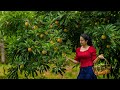 Golden Egg fruits!Nature gifted free vitamin package with healthy dishes|Poorna - The nature girl|