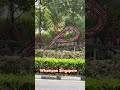 Whampoa Singapore 🇸🇬 #travel #foryou #viralyoutubeshorts #viralyoutubevideo