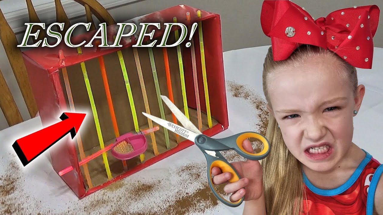 box for truck Evil Elf on the Shelf - Magic Cardboard Box Fort Prison Escape!