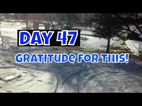 Dreams coming true | gratitude day 47