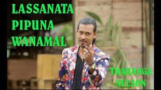 Video thumbnail of "Tharanga Nelson -LASSANATA PIPUNU WANAMAL ( ලස්සනට පිපුනු වනමල් ) Official Video 📞 0714938833"