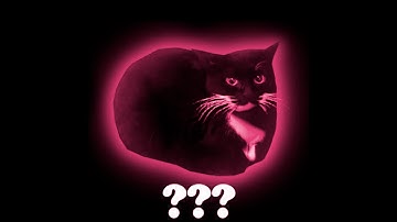 16 "Maxwell The Cat" Sound Variations in 50 Seconds