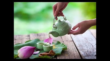 Bạn có biết 5 Loại Lá Uống Thay Trà Mỗi Ngày Giúp Thanh Lọc Cơ Thể, Tốt Cho Sức Khoẻ