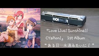 ある日 永遠みたいに 하모니카 Youtube ある日 永遠みたいに 하모니카 Youtube