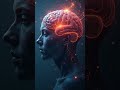 Why Your Brain Sees Faces Everywhere