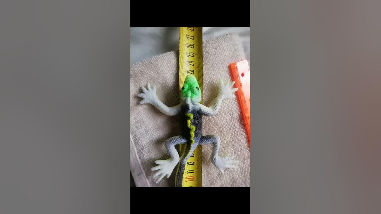 растущие игрушки - YouTube