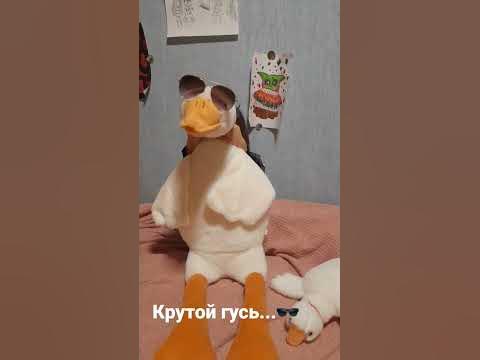 гусь-обнимусь, крутой гусь - YouTube