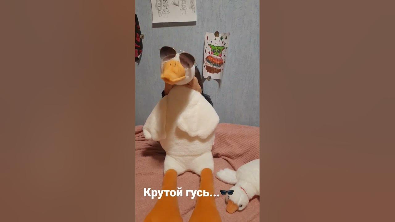 гусь-обнимусь, крутой гусь - YouTube