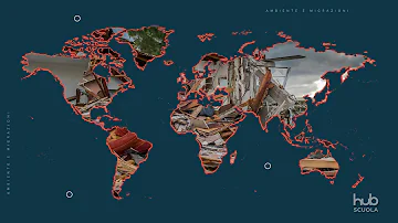 Quali sono i principali flussi migratori internazionali?