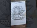 Flower drawing with pencil sketch.#drawing #art #sketch #