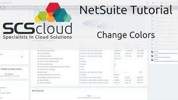 NetSuite Tutorial - Changing Colors