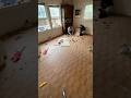Old Floors Out — Look What’s Underneath!