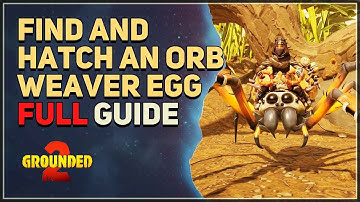 Find and hatch an Orb Weaver Egg Grounded 2 Full Guide