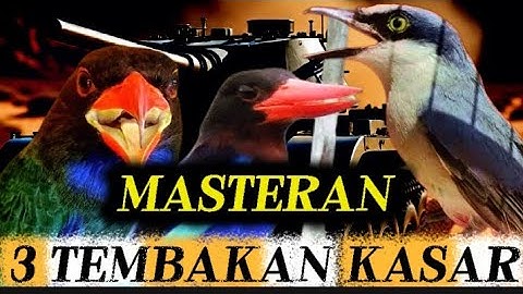 Hancurkan mental lawan | TENGKEK BUTO, JINJING PETULAK & CEKAKAK