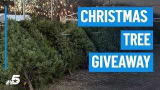 Texas man gives away Christmas trees after sales “didn't go as hoped”