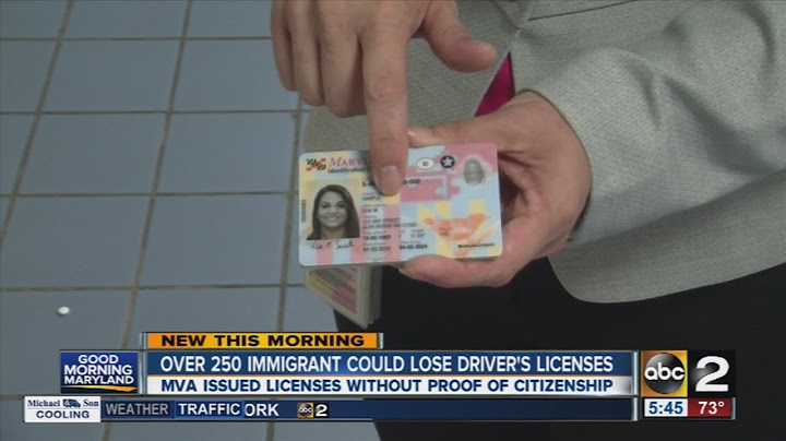 More than 250 immigrants could lose their driver's licenses
