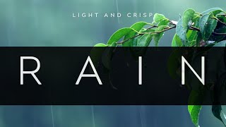 Soft and Crisp Rain: Serene Soundscape for Relaxation & Focus screenshot 2
