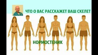 Что о Вас расскажет Ваш скелет. Нормостеник и его болезни. Что о Вас расскажет Ваш скелет. Нормостеник и его болезни.