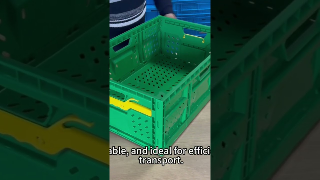 Collapsible Crates for Vegetables and Fruits