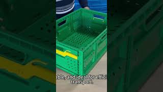 Collapsible Crates for Vegetables and Fruits