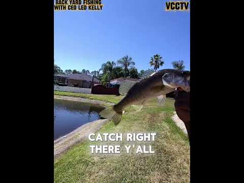 Great day out fishing was awesome