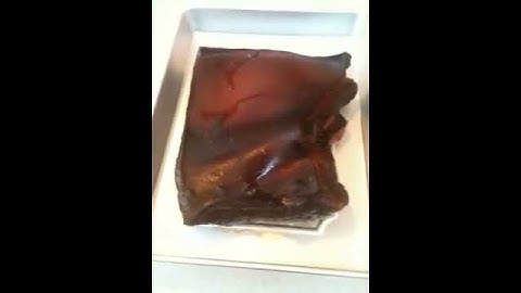 My making bacon journey- Part 6 maple cured bacon