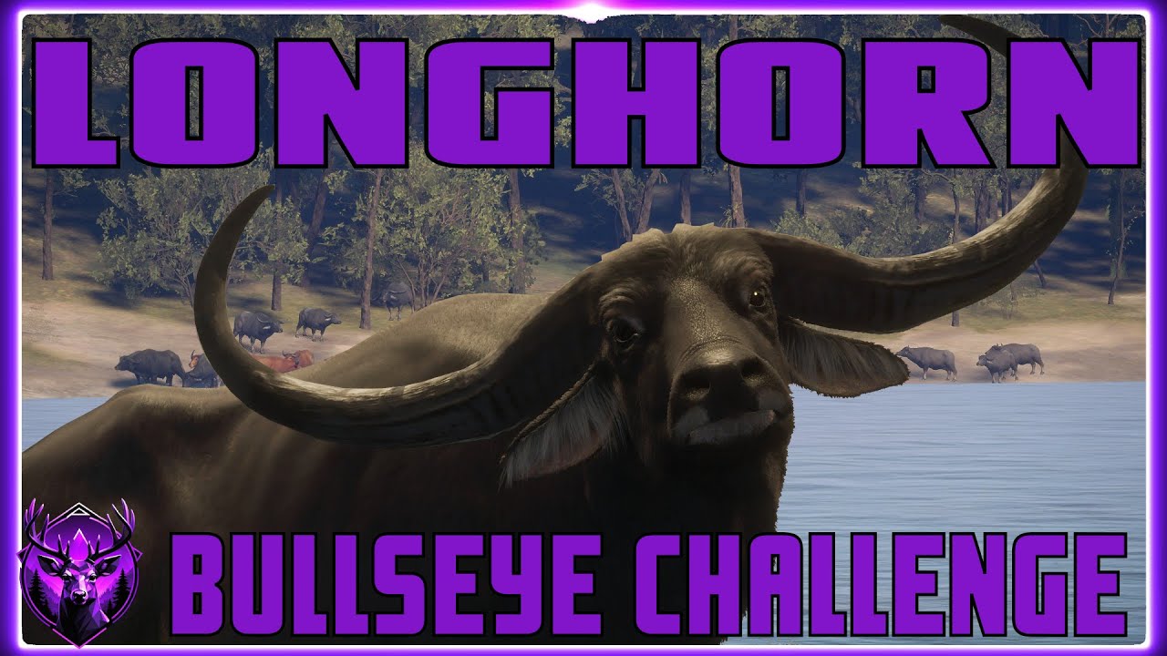 Biggest Bullseye Longhorn Edition