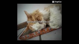 I Want My Benny Back