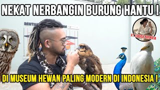 GELO ! NEKAT NERBANGIN BURUNG HANTU DI MUSEUM HEWAN PALING MODERN DI INDONESIA ! #animalium