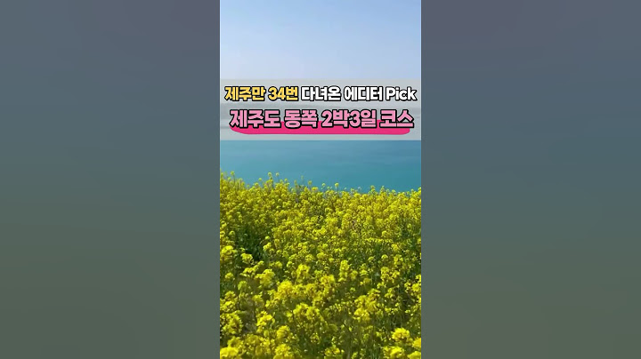 제주도 동쪽 2박 3일 뚜벅이 코스~!💕