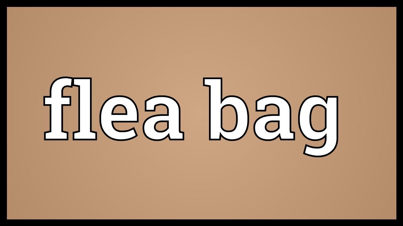 Flea bag Meaning YouTube
