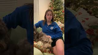St. Ignatius Video