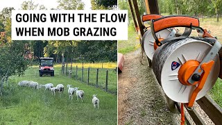 Mob Grazing Sheep During A Drought - How We Failed !