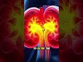 negative effects of eating processed meat