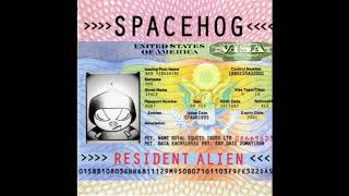 Spacehog – In The Meantime Resimi